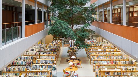 学習塾が勧める中高一貫校ランキング2021　図書館が充実している中高一貫校