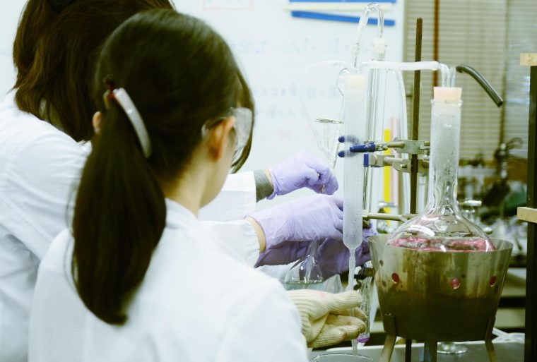 日本女子大学が食科学部通信教育課程食科学科（仮称）の開設予定
