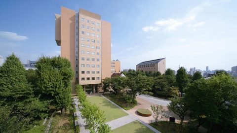 日本女子大学、2027年に「経済学部（仮称）」を新設へ