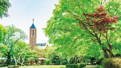 学生1名を教職員2名で支える「Wアドヴァイザー制度」スタート　 「学び」と「キャリア」を接続し、多彩な進路選択をバックアップ―白百合女子大学文学部
