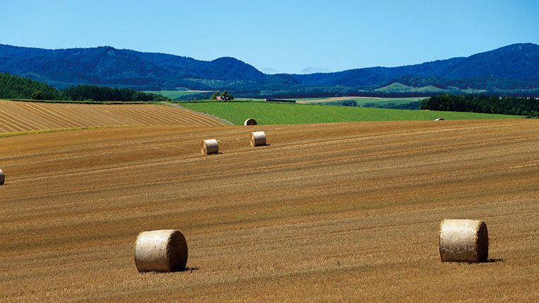 北の大地は期待値大！YOUは何しに北海道に？