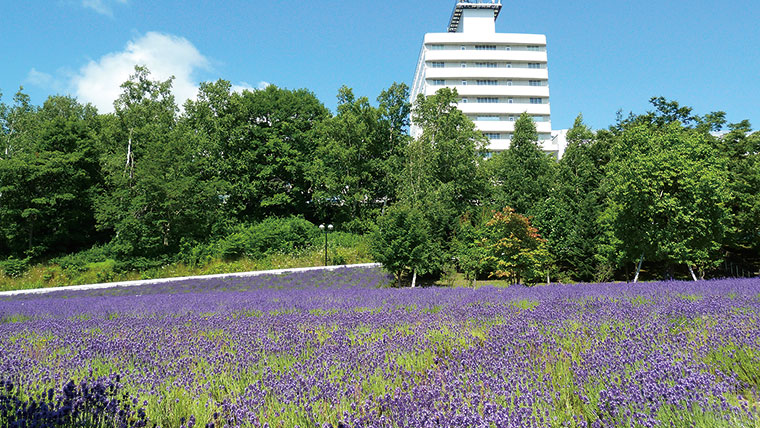 TOKAIという多様性の海であなたは何を見つける？─東海大学 札幌キャンパス