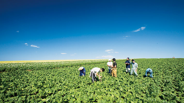 環境・食料問題で最注目の「総合農学」 DXやGXなど先端領域もカバーし、イノベーションを起こせる人材を育成─東京農業大学 環境・食料問題で最注目の「総合農学」 DXやGXなど先端領域もカバーし、イノベーションを起こせる人材を育成─東京農業大学