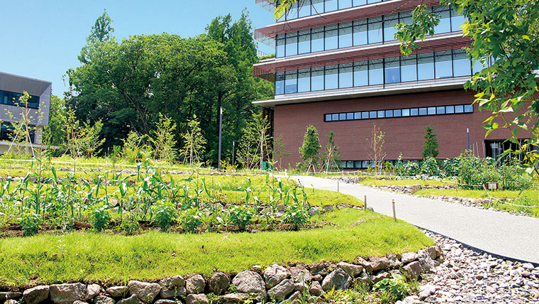 環境・食料問題で最注目の「総合農学」 DXやGXなど先端領域もカバーし、イノベーションを起こせる人材を育成─東京農業大学 環境・食料問題で最注目の「総合農学」 DXやGXなど先端領域もカバーし、イノベーションを起こせる人材を育成─東京農業大学