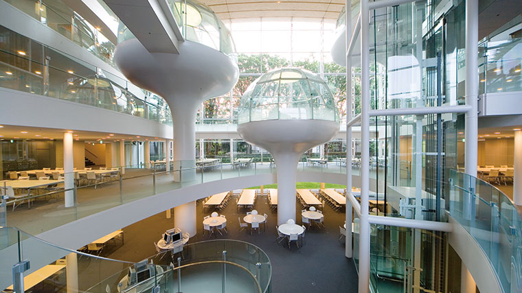 「共創⼈材」を育成する多彩な学び 持続可能な社会実現を目指し26年4月には「国際共創学部」を開設─成蹊大学 「共創⼈材」を育成する多彩な学び 持続可能な社会実現を目指し26年4月には「国際共創学部」を開設─成蹊大学