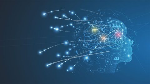 2026年4月 臨床データサイエンス学環 開設　横断的・網羅的な教育スタイルで医療・福祉の変革者を育成する─北海道医療大学