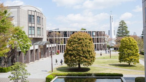 2025年学部系統別実就職率ランキング（観光系）