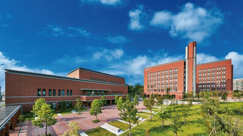 2025年学部系統別実就職率ランキング（経済系）