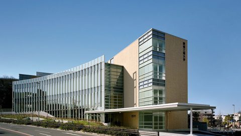 2025年学部系統別実就職率ランキング（商・経営系）