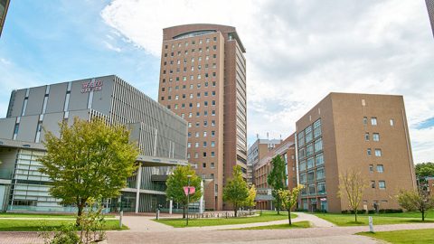 2025年学部系統別実就職率ランキング（国際系）