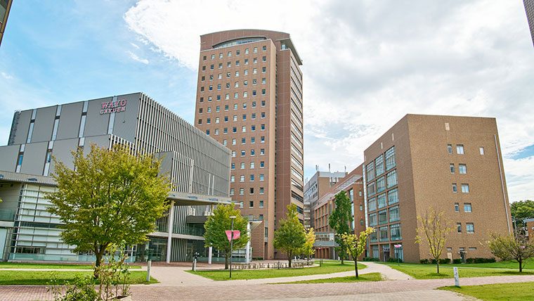 2025年学部系統別実就職率ランキング（国際系）