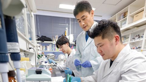 2025年学部系統別実就職率ランキング（農学系）