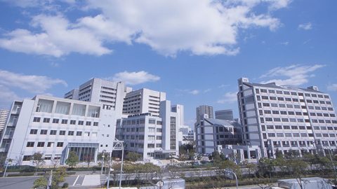 2025年学部系統別実就職率ランキング（福祉系）