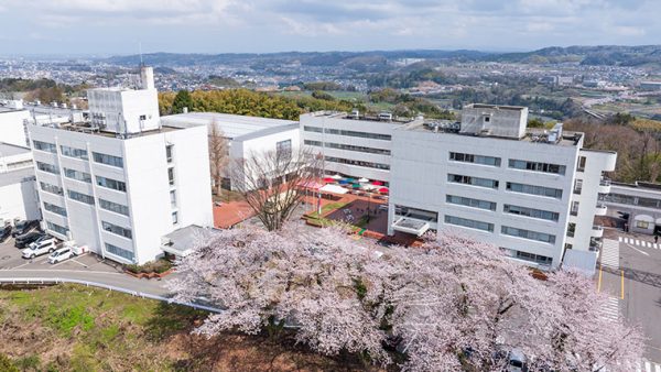 2025年学部系統別実就職率ランキング（体育・スポーツ系）