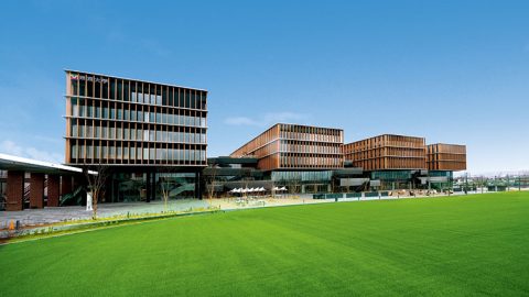 2025年保育教諭就職者数ランキング