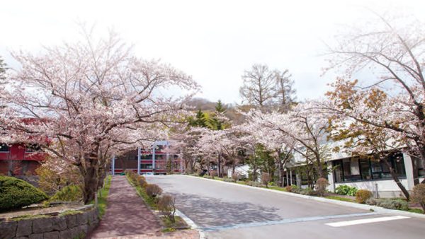 グローバル教育に力を入れている大学ランキング2025【北海道・東北編】