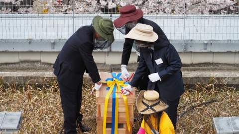 千葉商科大学が養蜂事業を開始–3月28日に放蜂式