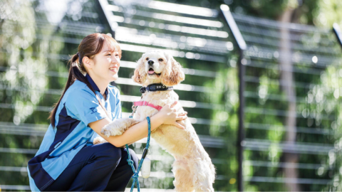 新国家資格「愛玩動物看護師」とは–新しい実習室や最新のカリキュラムを提供する帝京平成大学で合格を目指す