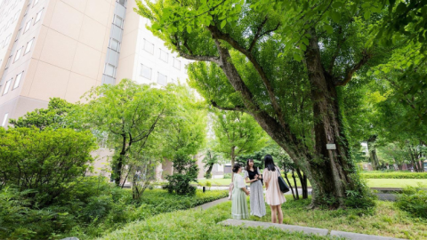 日本女子大学が「桜楓樹給付奨学金」を創設